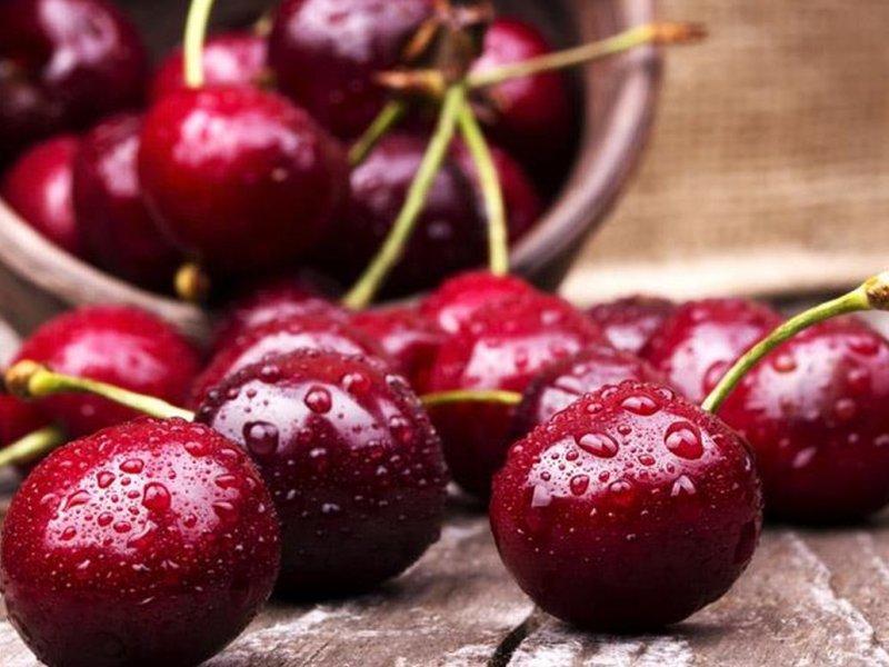 Вишня купить саженцы из питомника в Краснокамске